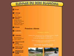 Pension chiens