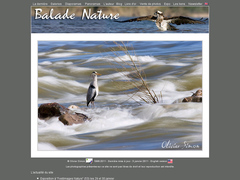 Photographie Nature : Balade Nature