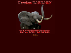 Damien BARBARY Taxidermiste � La Marolle en Sologne