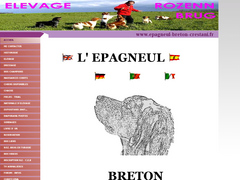 Dressage et �l�vage d'epagneul breton