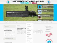 Détails : Association Nationale des Poneys Français de Selle