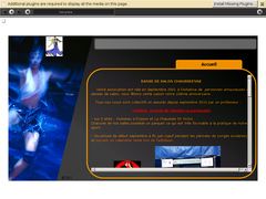 Dansedesalonchausseenne.com