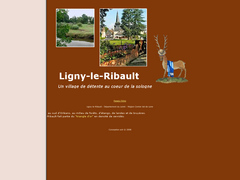 Ville de Ligny-le-Ribault