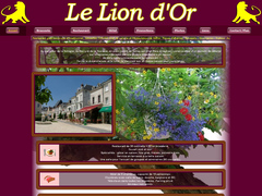 Détails : Hotel à Selles-sur-Cher: LE LION D'OR 