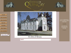 Détails : Château de Quinçay 
