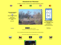Détails : Chaumont-sur-Tharonne