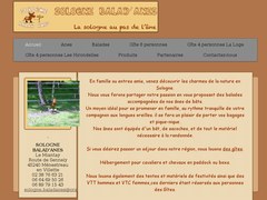 Détails : Sologne Balades ane